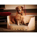 Dogs Heaven 84 - exklusives Hundebett aus Holz, 849,00 €