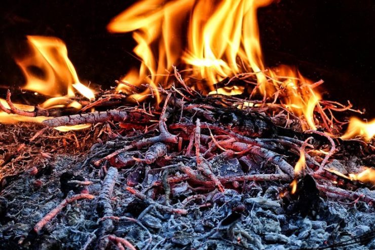 Grillanzünder Kaminanzünder plastikfrei