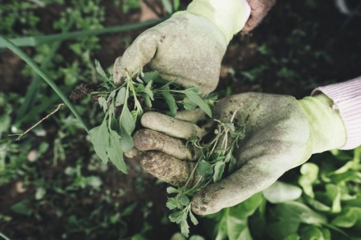Gartenhandschuhe plastikfrei